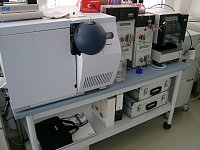 Picture: LC-ESI-MS